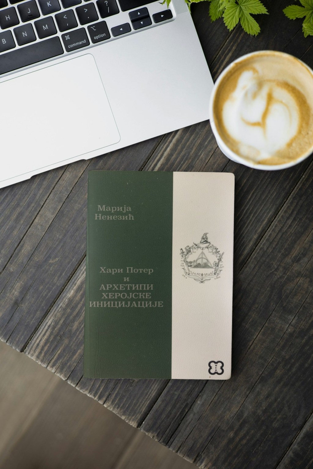 Hari Poter i arhetipi herojske inicijacije – Besplatno preuzmite&nbsp;knjigu